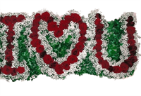 i love you